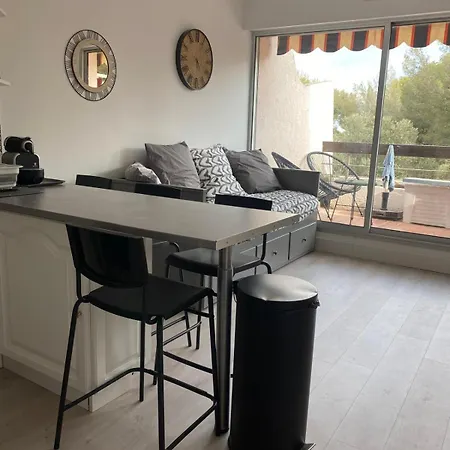 Bright In With Swimming Pool La Ciotat