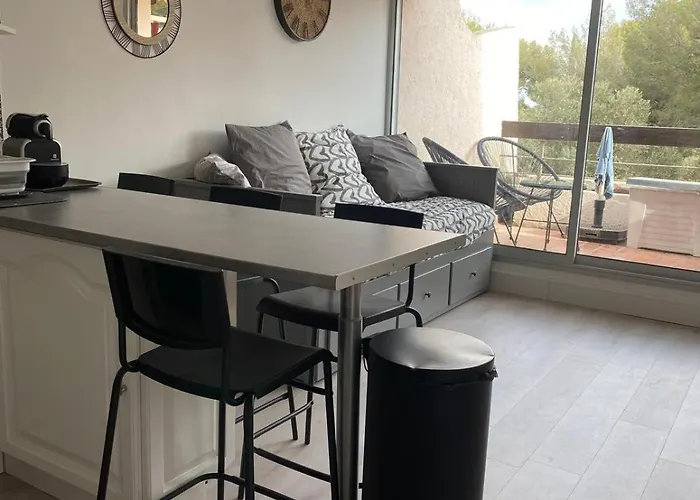 Bright In With Swimming Pool La Ciotat