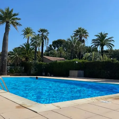 Bright In With Swimming Pool *