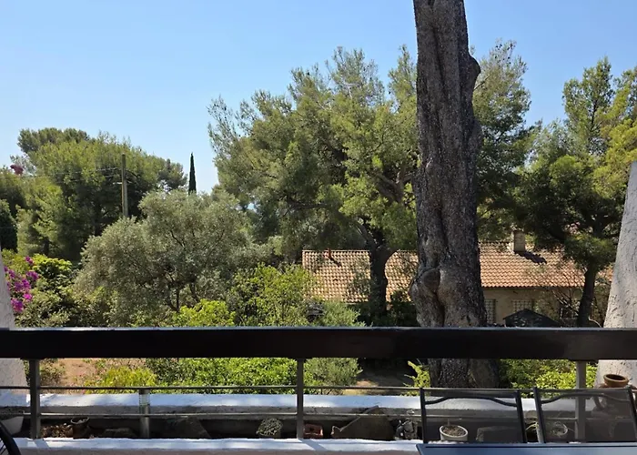 Bright In With Swimming Pool